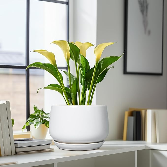 G EPGardening Ceramic Planter 9 Inch - Plant Pots with Drainage and Ceramic Saucer, Flower Pots for Indoor Plants, Modern Outdoor Planter, Living Room Decor, Gifts for Plant Lovers, White