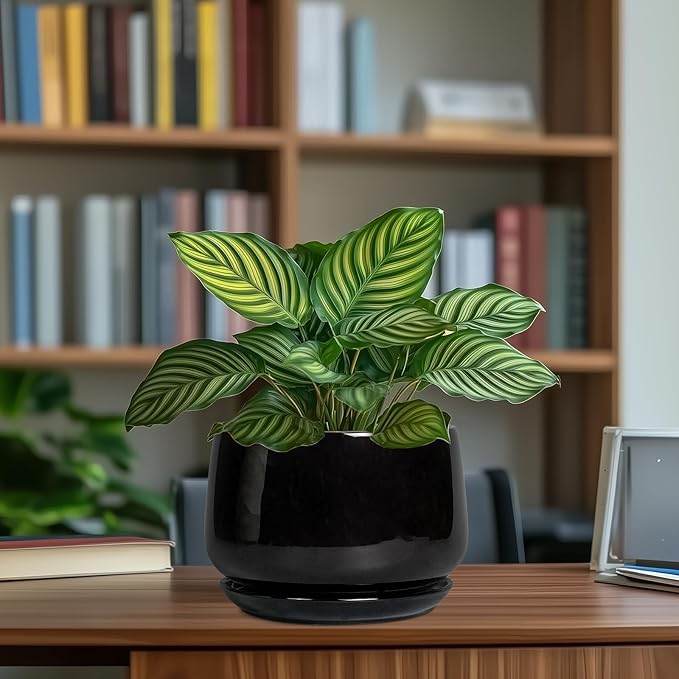 G EPGardening Ceramic Planter 7 Inch - Ceramic Pot for Plants with Drainage and Saucer, Round Plant Pots, Modern Indoor Outdoor Planter, Home Decor, Garden Gifts, Black