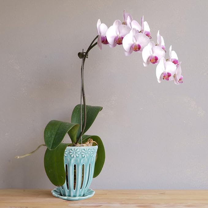 5" Ceramic Orchid Pot with Saucer: Ceramic Orchid Planter for Repotting - Plant Flower Pots for Orchid Indoor Outdoor - Orchid Pots with Holes - Orchid Container with Drainage Holes and Tray