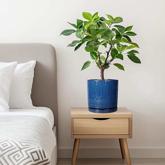 6 Inch Plant Pot - Ceramic Planter for Outdoor Plants Indoor Plant Pot with Drainage Holes and Saucer Succulent Pot Modern Round Flower Pot for House Room Decor Blue