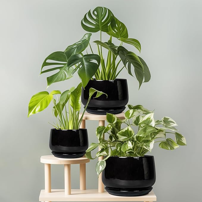 G EPGardening 6 Inch Planter - Ceramic Pot for Plants, Ceramic Planter with Drainage and Saucer, Round Flower Pot Indoor Outdoor, Modern Room Decor, Home Gifts, Black