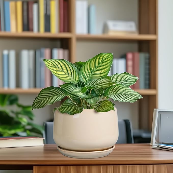 G EPGardening Ceramic Planter - 7 Inch Plant Pots with Drainage and Ceramic Tray, Flower Pots for Indoor Plants, Round Outdoor Planter, Room Decor, Gifts for Plant Lovers, Beige