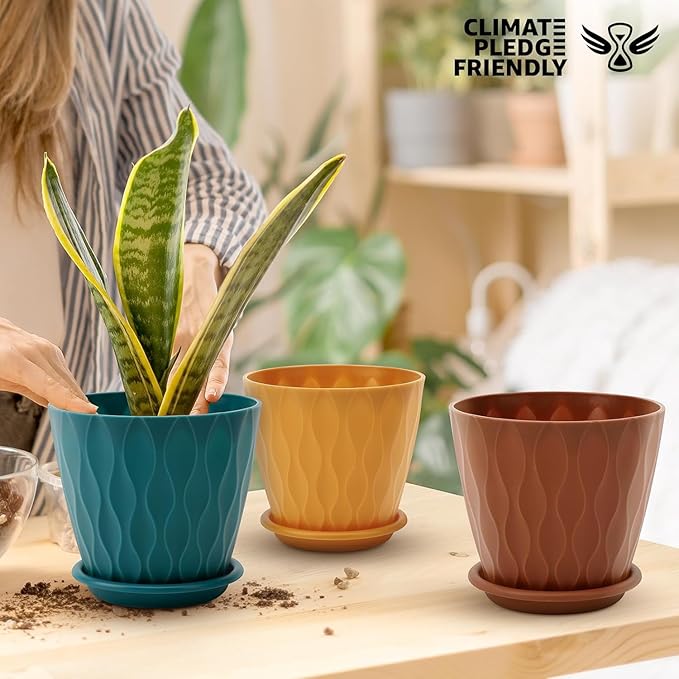 6 inch Plant Pots, 5 Pack Flower Pots Outdoor Indoor, Planters with Drainage Holes and Tray Saucers(Multicolor)