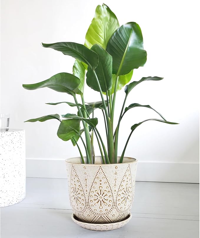 Gepege 10 Inch Plant Pot, Creamy White Ceramic Planter with Drainage Holes and Saucers for Plants Indoor and Outdoor Flower Pot