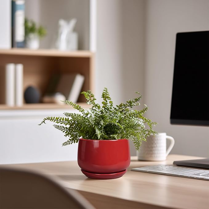 G EPGardening Ceramic Pots for Plants - 4 inch Succulent Pots Indoor Outdoor, Small Planter with Drainage Hole & Tray, Modern Flower Pot, Decorative Round Planter, Living Room Decor, Home Gifts, Red