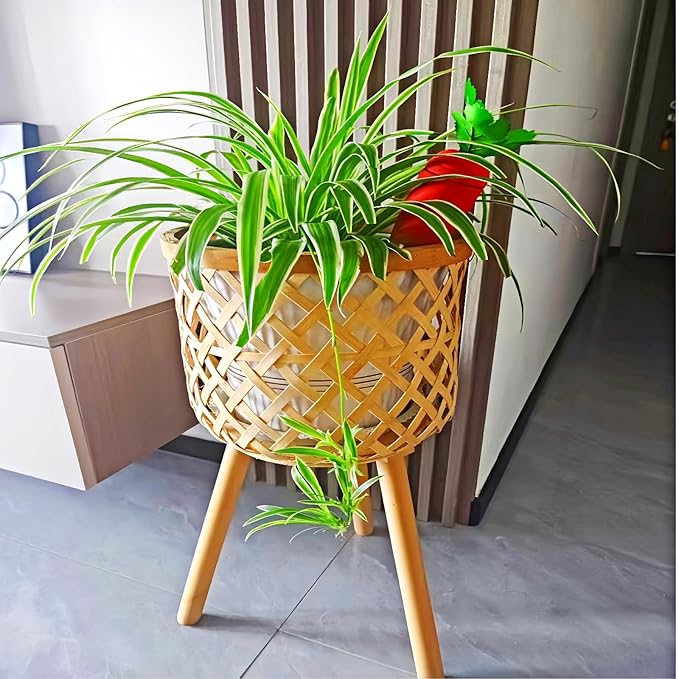 4-Pack Plant Watering Spikes with Lids,Self Watering Spikes, Plant Water Seepage Device, Cute Carrot Shape,Clay Plant Garden Waterers for Vacations