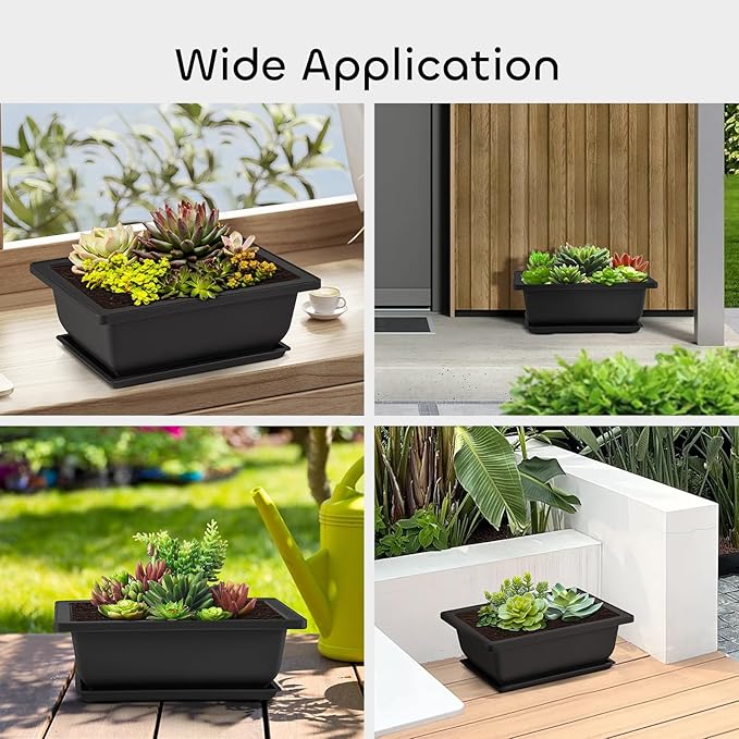 GROWNEER Bonsai Training Pots with Drainage Trays 3 Packs 6.5 Inch, Durable Bonsai Tree Starter Set Kits with Repotting Mat Small Indoor Outdoor Growing Pot Rectangle Planter, Built in Mesh