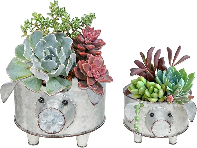 Galvanized Metal Pig Succulent Planter Farmhouse Pig Shaped Bowl Metal Pig Tray Rustic Decor Set of 2