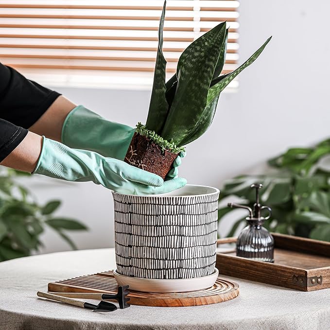 8 Inch Plant Pot: Ceramic Planter with Drainage Hole & Saucer - Cylinder Flowerpot for Indoor & Outdoor Plants - with Separate Tray for Home & Office - Striped Design