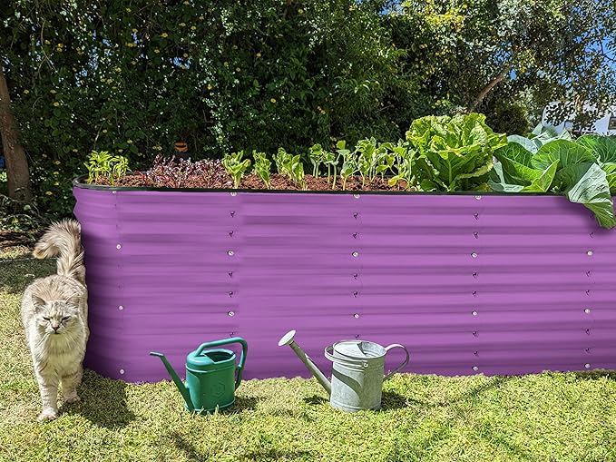 Galvanized Raised Garden Beds Outdoor // 6×2×2 ft Planter Raised Beds for Gardening, Vegetables, Flowers // Large Metal Garden Box (Purple) // Patented Tool-Free Design