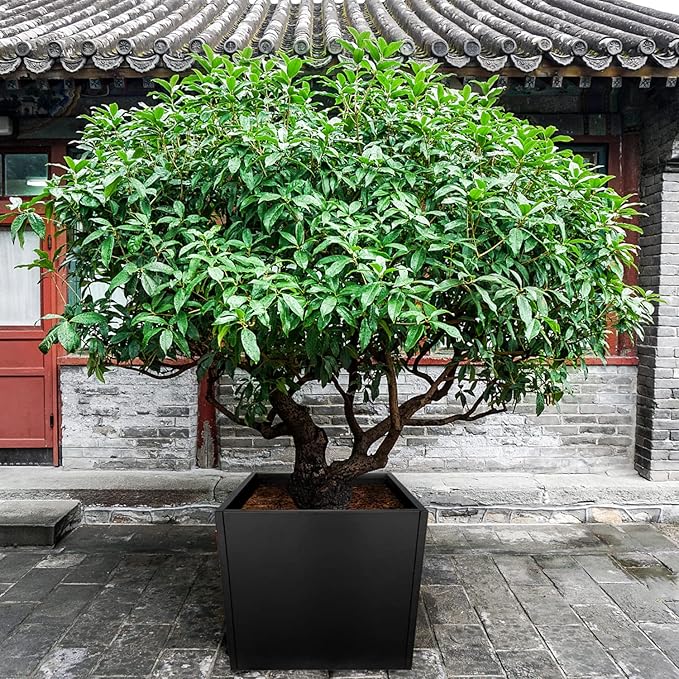 Galvanized Steel Planter Box Black Metal Planter Large Square Indoor Outdoor Planters Cube Steel Heavy Duty Flower Pot 26Inch Powder Coating Modern Commercial Residential for Patio, Deck, Yard, Garden