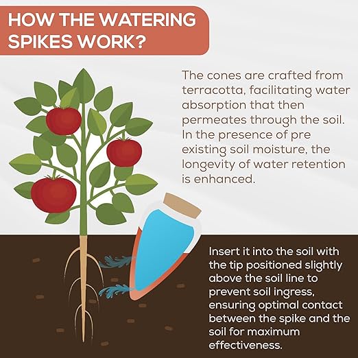 Complete Guide to Automatic Watering Systems for Plants