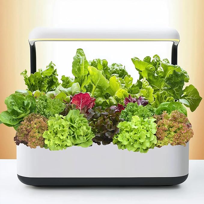 Seasonal Gardening Tips – What to Grow All Year Round