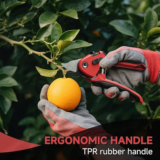 Best Indoor Plants for Air Purification (Top 7 Picks)