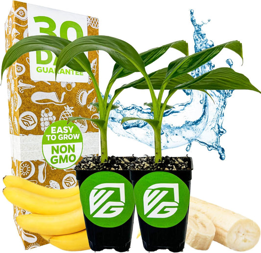 7 Common Gardening Mistakes Beginners Make (And How to Fix Them)