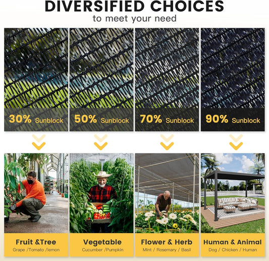 How to Build a Mini Herb Garden in a Small Space