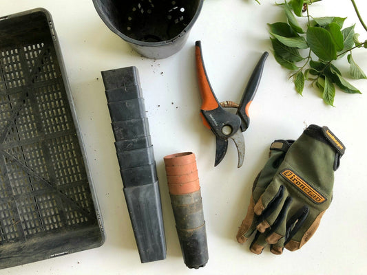 10 Must-Have Gardening Tools for Every Home Gardener