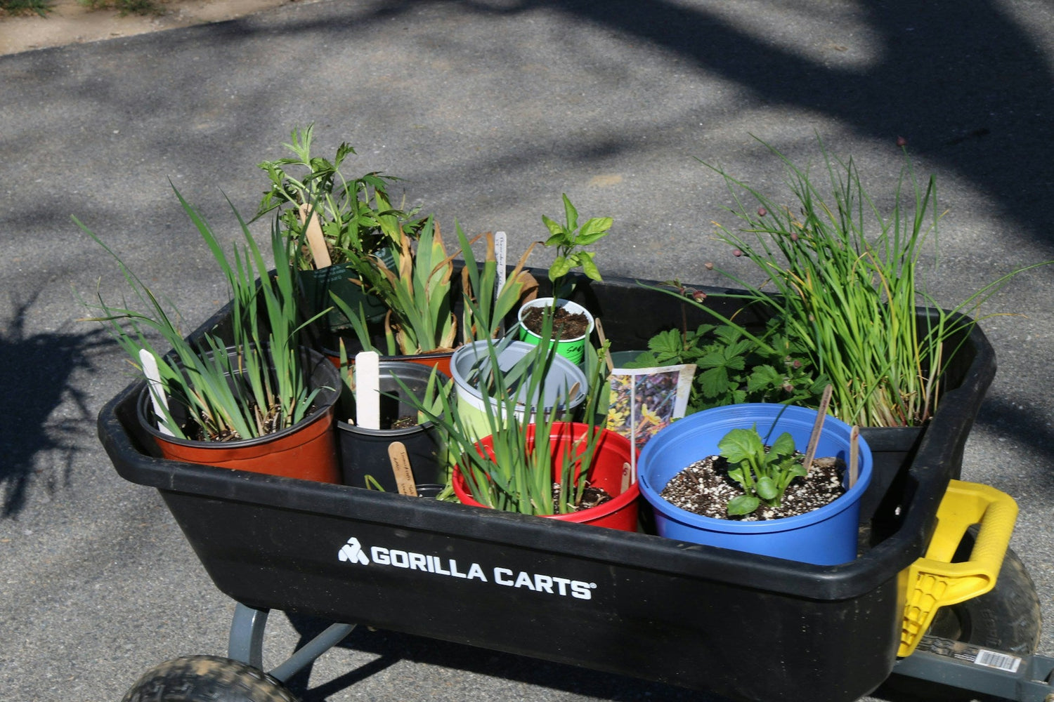 Eco-Friendly Garden Supplies