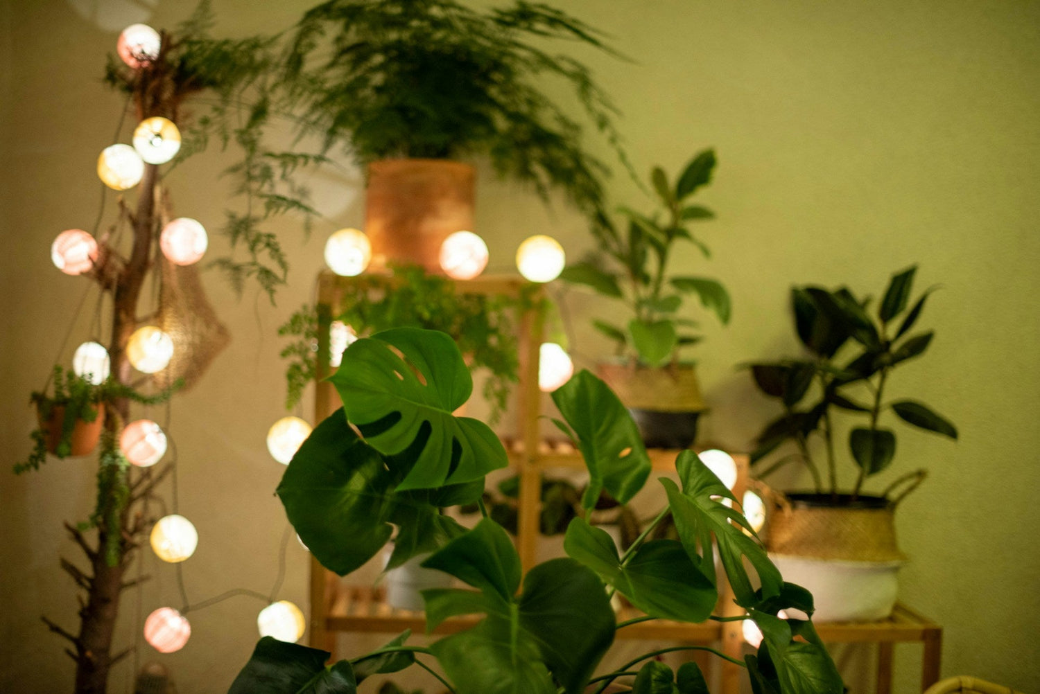 Garden Décor & Accessories