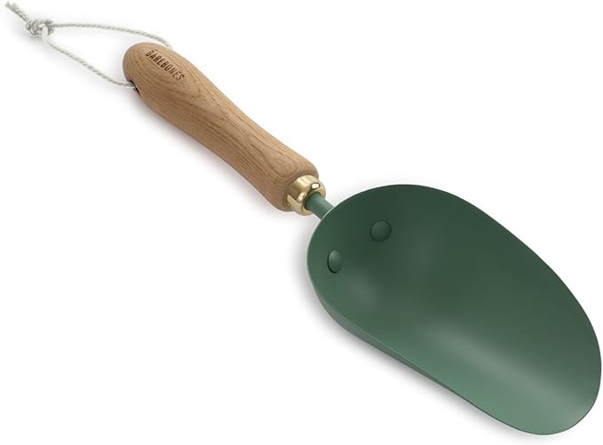 Barebones Garden Scoop - Garden Spoon - Stainless Steel Small Hand Shovel for Transplanting, Digging, and Planting - Great Home Gardening Hand Tools (Ash/Mint)