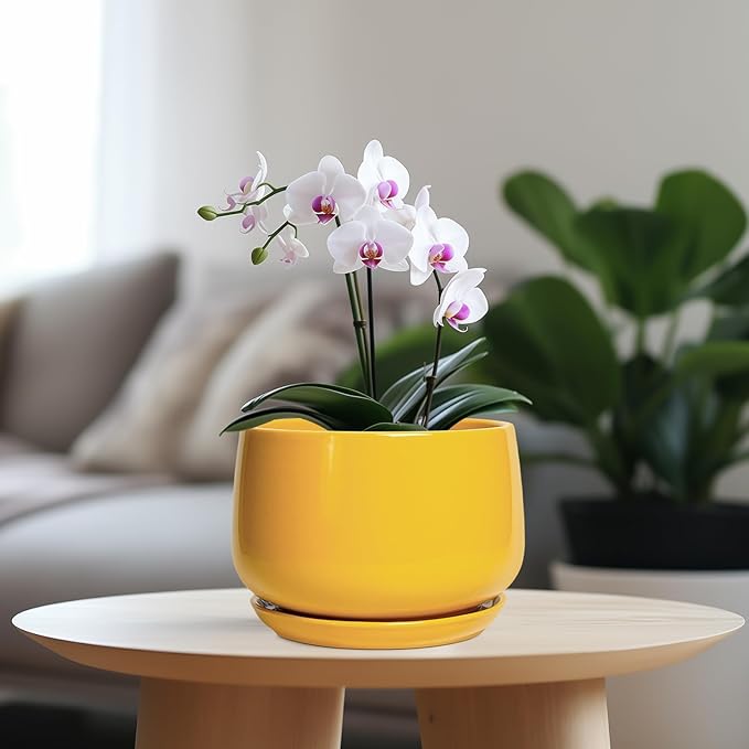 G EPGardening Ceramic Pots for Plants - 7 Inch Plant Pot with Drainage Hole and Saucer, Modern Ceramic Planter for Indoor Outdoor, Round Flower Planter, Gifts for Plants Lovers, Home Decor, Yellow