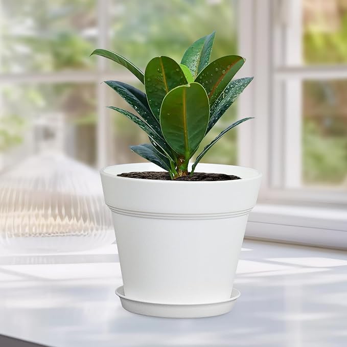 6 inch Small Plastic Nursery Pots, Seedling Pots, 16 Pack Plant Pots for Indoor Outdoor Plants, Flower Pots with Drainage Holes and Saucers, Decorative Planters for House Plants, White