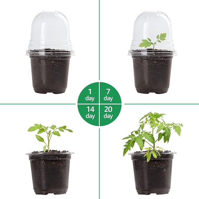 30 Packs 4 Inch Reinforced Clear Nursery Pots with Humidity Dome, Transparent Variety Pack Plastic Plant Pot Seedling Planter Seed Starter Flower