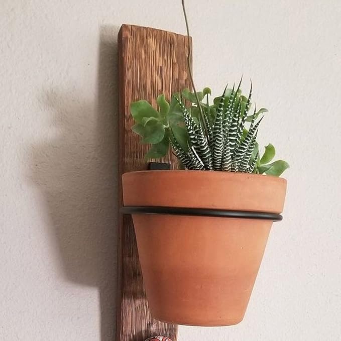 4 Pack 6in Flower Pot Holder Ring Wall Mounted Metal Planter Hooks Hangers Wall Bracket Wall Planter Hook (4, 6")