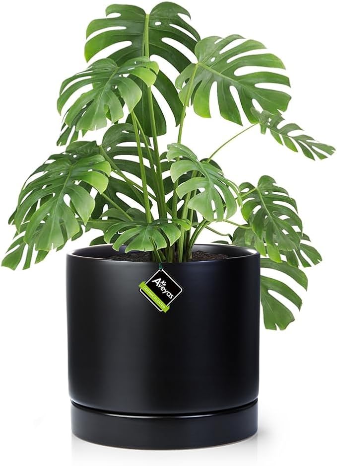 Aveyas 10 inch Ceramic Plant Pot with Drainage Hole and Saucer - Suitable for Indoor and Outdoor Use, Modern Planters for House Garden Flower Tree Snake Monstera Plants (10", Matte Black)