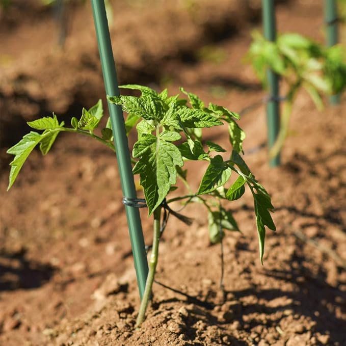 5 Ft 50pack Garden Stakes for Climbing Plants,1/4" Dia Supports Poles EcoStake Rust-Free Plant Sticks Fence Post (60inch)