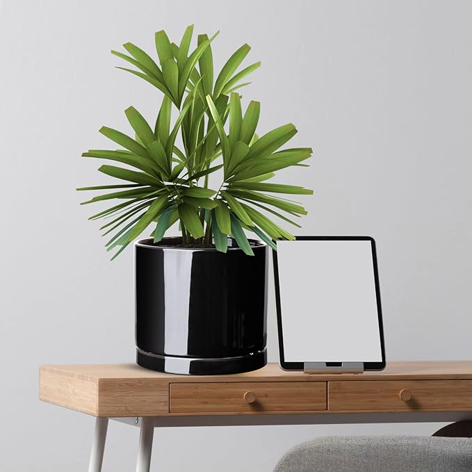 Aveyas 8 inch Ceramic Plant Pot with Drainage Hole and Saucer - Suitable for Indoor and Outdoor Use, Modern Planters for House Garden Flower Tree Snake Monstera Plants (8", Glossy Black)