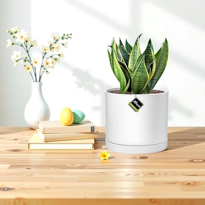 Aveyas 8 inch Ceramic Plant Pot with Drainage Hole and Saucer - Suitable for Indoor and Outdoor Use, Modern Planters for House Garden Flower Tree Snake Monstera Plants (8", Matte White)