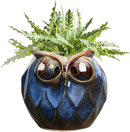 GeLive Blue Owl Ceramic Succulent Planter with Drainage Hole Animal Plant Pot Tabletop Decoration Vase Window Box Indoor Outdoor Decor (Blue)