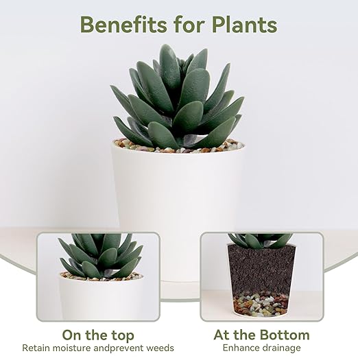 5 lbs Pebbles for Indoor Plants, Succulent Rocks, 3/8" Polished Pebbles for Bamboo, Vase, Terrarium, Natural Decorative Small River Rocks for Crafts, Cactus, Outdoor Garden Landscaping