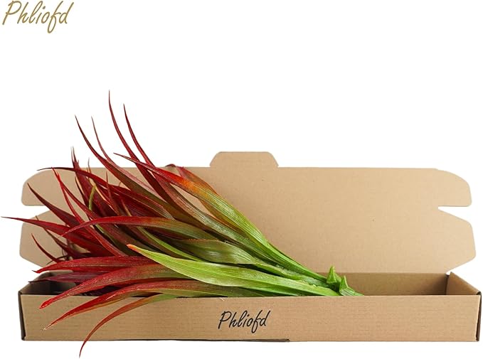 6Pcs Artificial Grass Fake Plants 17.3in Outdoor Plants UV Resistant Greenery Stems Fake Grass for Home Window Garden Office Patio Pathway Front Porch Christmas Décor Light Green & Red