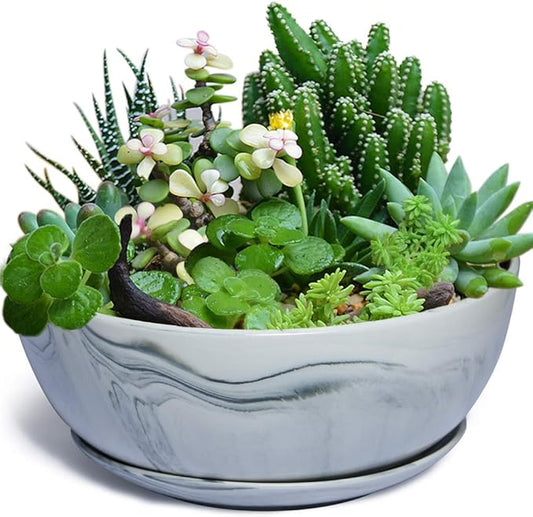 G EPGardening 10Inch Large Planter Pot Marble Pattern Ceramic Succulent Planter Big Plant Pot Succulents Container Flower Pot Indoor Outdoor Decor