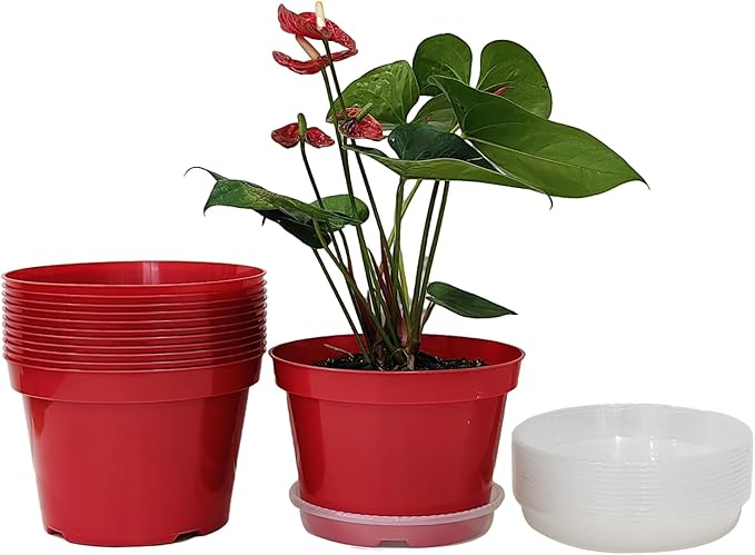 8 inch Plastic Flower Pots, Red Plant Pots 12Pack with Saucers for Indoor House Plants Growing and Decoration