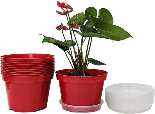 8 inch Plastic Flower Pots, Red Plant Pots 12Pack with Saucers for Indoor House Plants Growing and Decoration