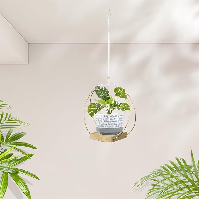 Hanging Planters for Indoor Plants, Plant Hanger with Sturdy Wood Base,Modern Boho Macrame Plant Hanger,Wall Ceiling Window Stands(Plants/Pots Not Included)