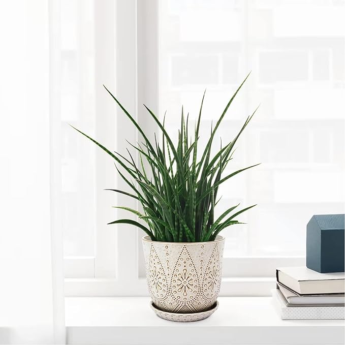 Gepege 8 Inch Plant Pot, Creamy White Ceramic Planter with Drainage Holes and Saucers for Plants Indoor and Outdoor Flower Pot