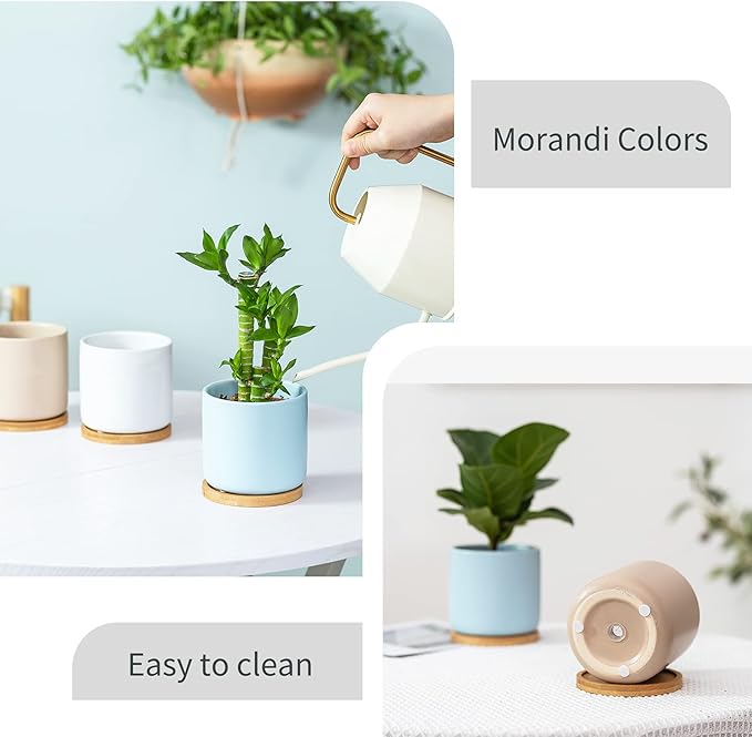 4 Inch Planters with Drainage Hole and Saucer, Small Ceramic Cylinder Plant Pot with Trays for Succulent, Aloe, Cactus & Herbs, Morandi Colors, Set of 4
