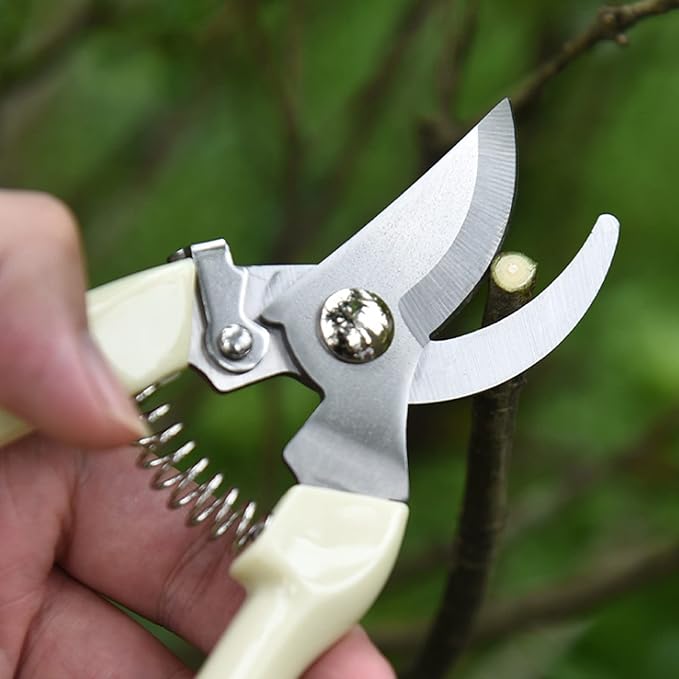 Garden Scissors for Plant, Tip Pruning Shears for Cutting Flowers, Trimming Plants, Bonsai and Fruits Picking (2 PC Bypass Blade Pruner)