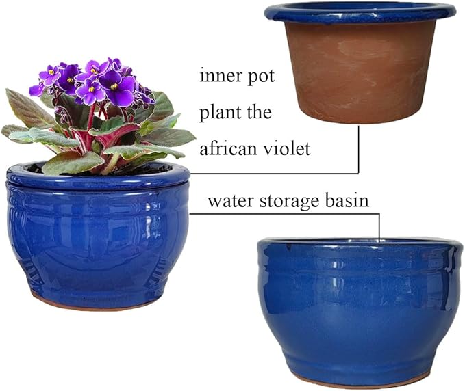 African Violet Pots Self Watering Round Ceramic Violet Pot (Blue, 6 inch)