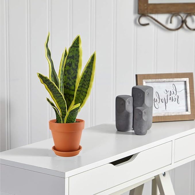 2 Pack Large Terracotta Pots with Saucer for Plants, 8 Inch Terra Cotta Plant Pot with Drainage Hole, Clay Flower Planter Pot with Tray for Indoor Plant