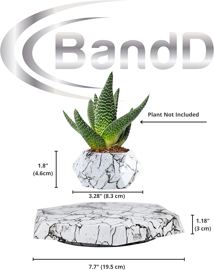 BandD Plant Pot for Succulents, air Bonsai & air Plants. Planter for Home, Office & Desk Decor. Magnetic Floating Levitating Display. (Marble)