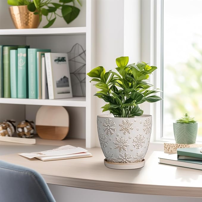 6 Inch Plant Pot with Drainage Hole and Saucer Ceramic Planter for Indoor Plant Flower Pot for Orchid Succulents Plants White