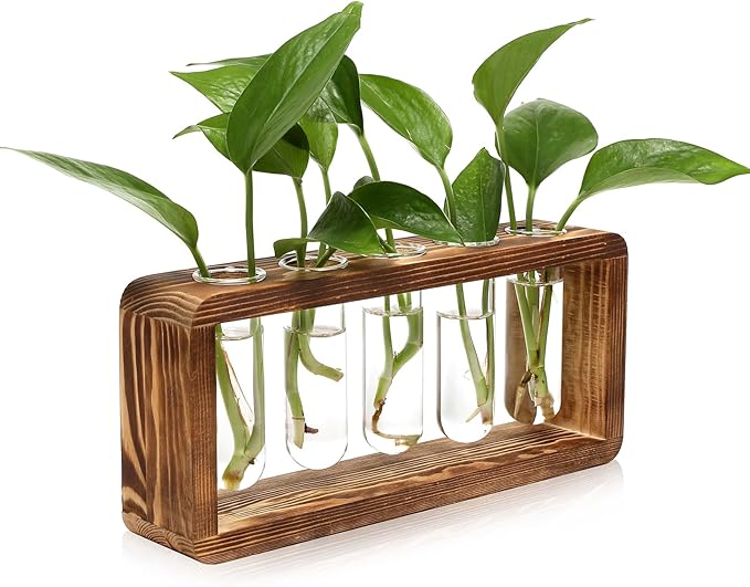 Glass Plant Propagation Station with 5 Test Tubes Planter Vase with Wooden Stand Birthday Gifts for Women Mom Plant Lovers