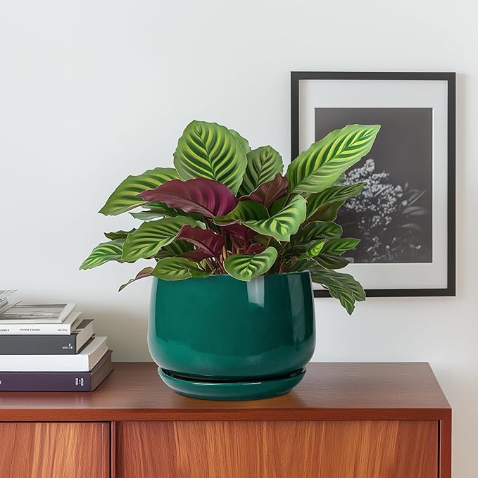 G EPGardening 6 Inch Plant Pot - Ceramic Planter for Indoor Plants, Round Planter with Drainage and Ceramic Tray, Flower Pots for Outdoor, Modern House Decor, Gift for Men Women, Green