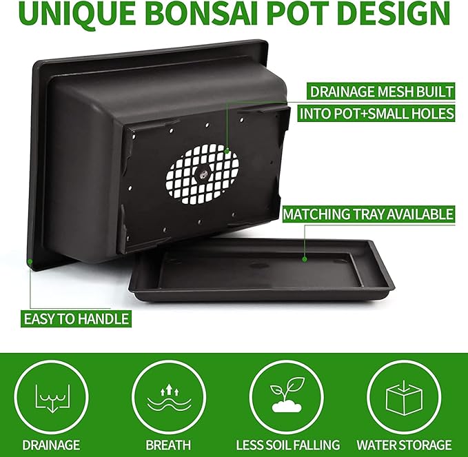 5 Bonsai Tree Kit Complete Plant Growing Tools, Grow in Pot Indoor Bonsai Tree Starter Kit, Great Home Gardening Potted Plants DIY Gift for Adults