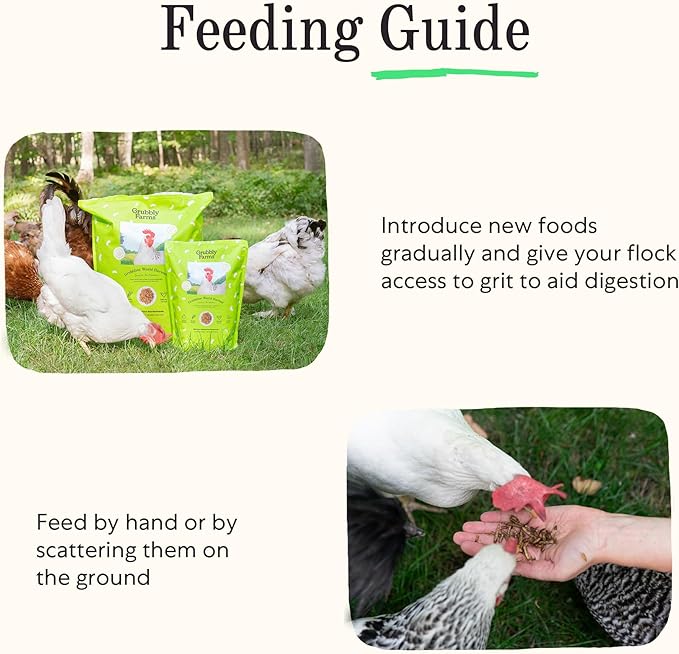 Grubblies - Switch from World Harvest to Hometown Harvest for Premium Chicken Nutrition - Grubblies World Harvest 5LB